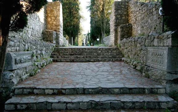 Mogorjelo