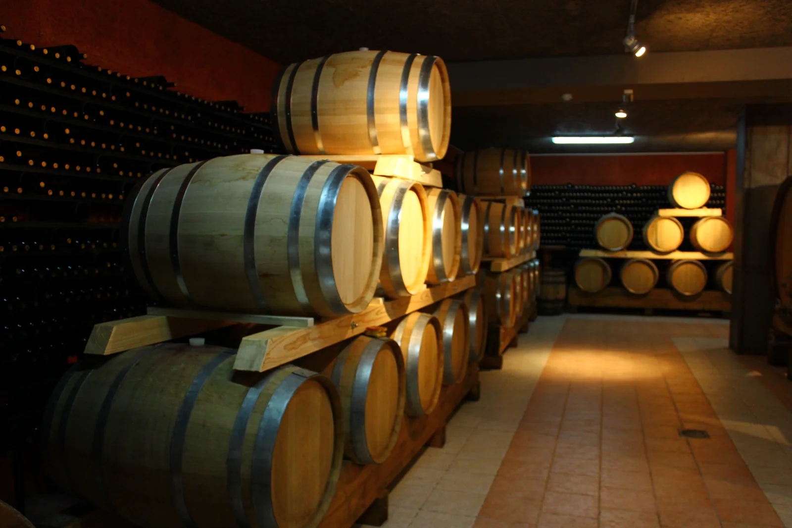 Herzegovina Wine Tour from Mostar — Žilavka, Blatina, 3 Wineries + Lunch
